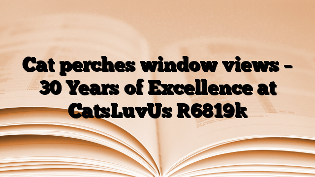 Cat perches window views – 30 Years of Excellence at CatsLuvUs
