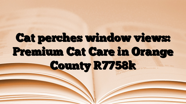 Cat perches window views: Premium Cat Care in Orange County