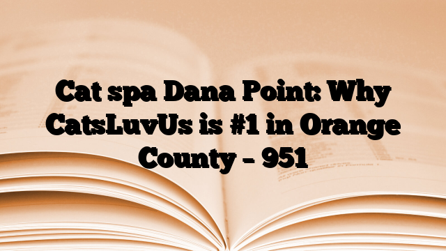 Cat spa Dana Point: Why CatsLuvUs is #1 in Orange County