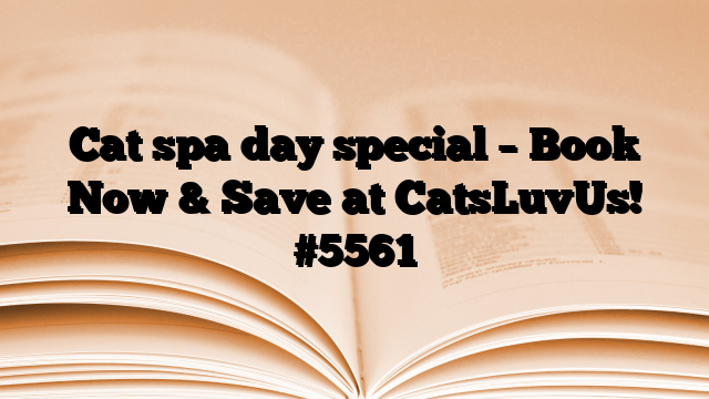 Cat spa day special – Book Now & Save at CatsLuvUs!