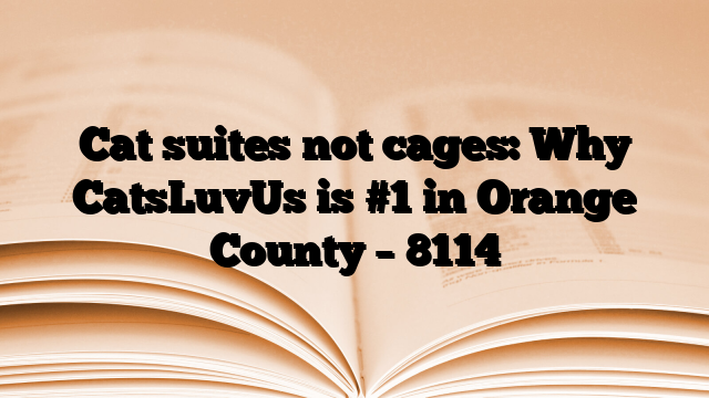 Cat suites not cages: Why CatsLuvUs is #1 in Orange County