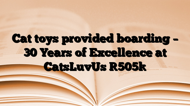 Cat toys provided boarding – 30 Years of Excellence at CatsLuvUs