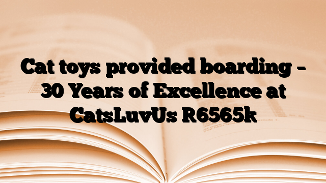Cat toys provided boarding – 30 Years of Excellence at CatsLuvUs