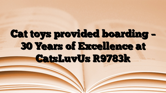Cat toys provided boarding – 30 Years of Excellence at CatsLuvUs