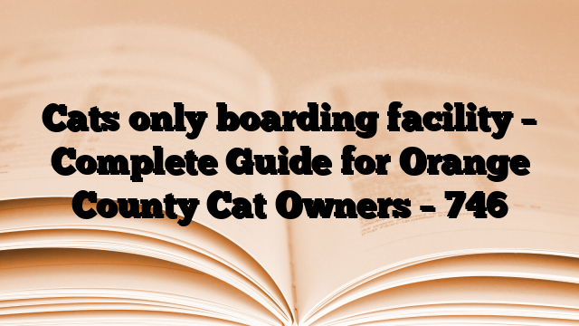 Cats only boarding facility – Complete Guide for Orange County Cat Owners