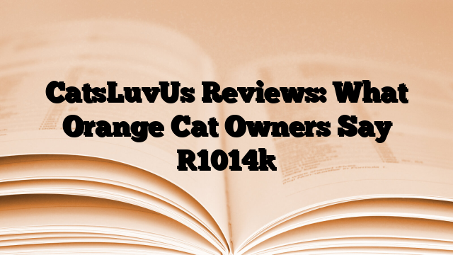 CatsLuvUs Reviews: What Orange Cat Owners Say