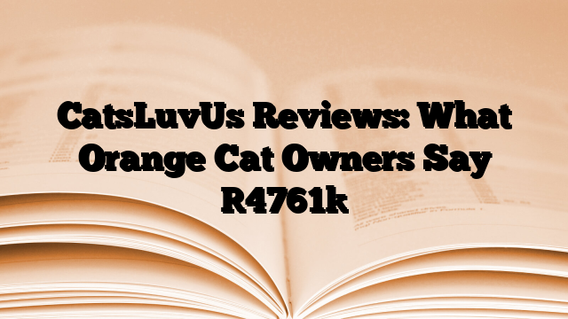 CatsLuvUs Reviews: What Orange Cat Owners Say