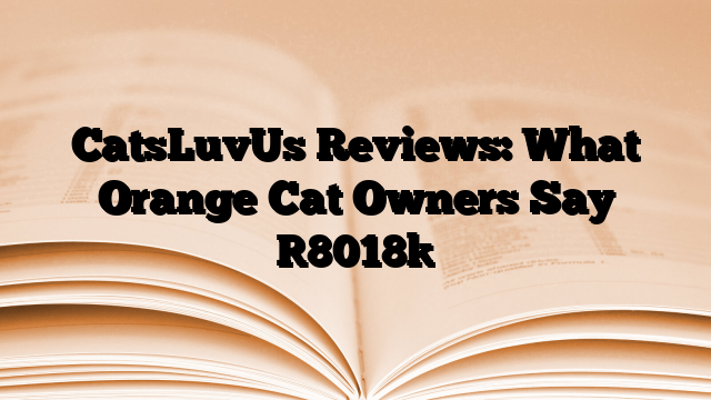 CatsLuvUs Reviews: What Orange Cat Owners Say