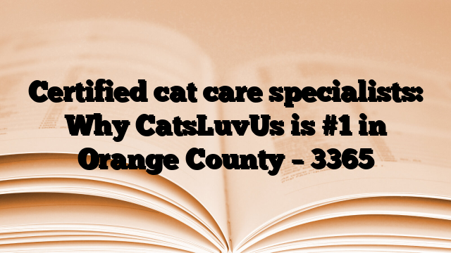 Certified cat care specialists: Why CatsLuvUs is #1 in Orange County