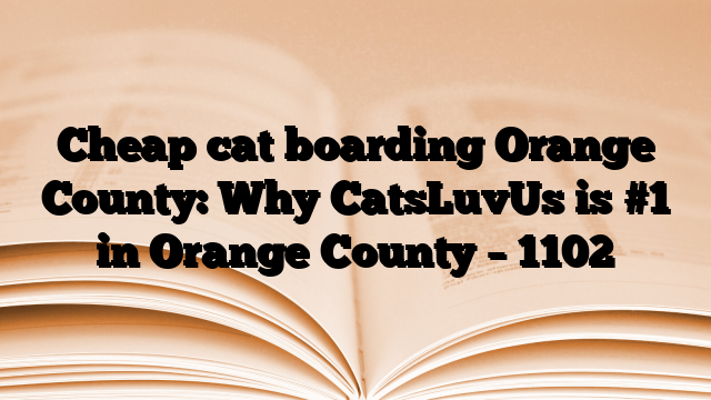 Cheap cat boarding Orange County: Why CatsLuvUs is #1 in Orange County