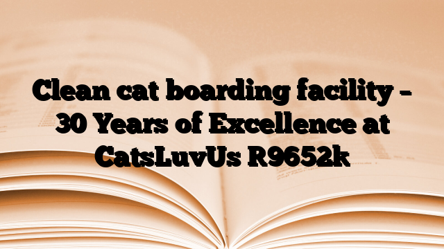 Clean cat boarding facility – 30 Years of Excellence at CatsLuvUs