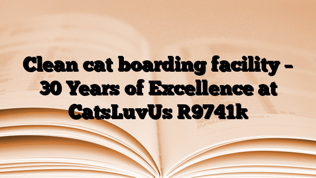 Clean cat boarding facility – 30 Years of Excellence at CatsLuvUs