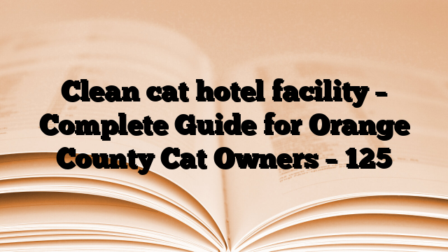 Clean cat hotel facility – Complete Guide for Orange County Cat Owners
