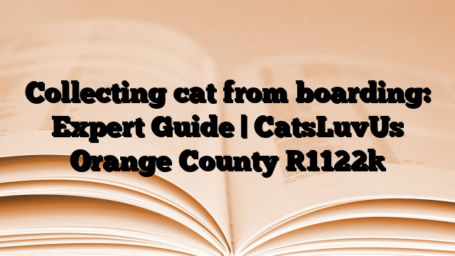 Collecting cat from boarding: Expert Guide | CatsLuvUs Orange County
