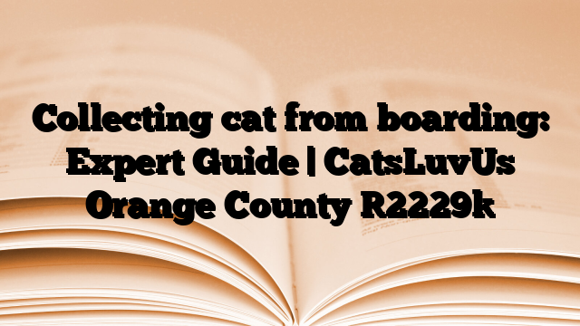 Collecting cat from boarding: Expert Guide | CatsLuvUs Orange County