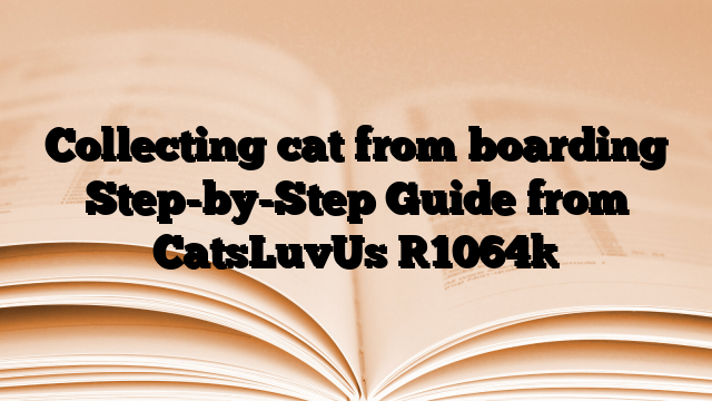 Collecting cat from boarding Step-by-Step Guide from CatsLuvUs