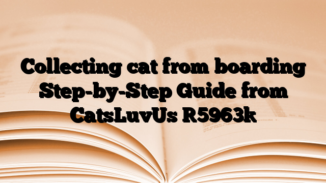 Collecting cat from boarding Step-by-Step Guide from CatsLuvUs