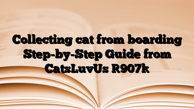 Collecting cat from boarding Step-by-Step Guide from CatsLuvUs