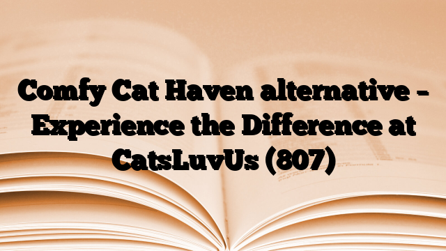Comfy Cat Haven alternative – Experience the Difference at CatsLuvUs