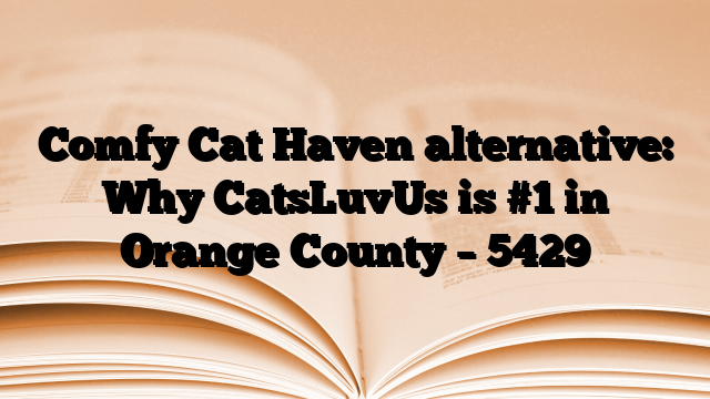 Comfy Cat Haven alternative: Why CatsLuvUs is #1 in Orange County