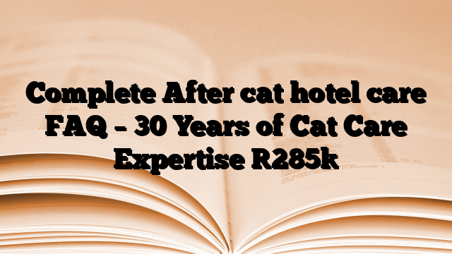 Complete After cat hotel care FAQ – 30 Years of Cat Care Expertise