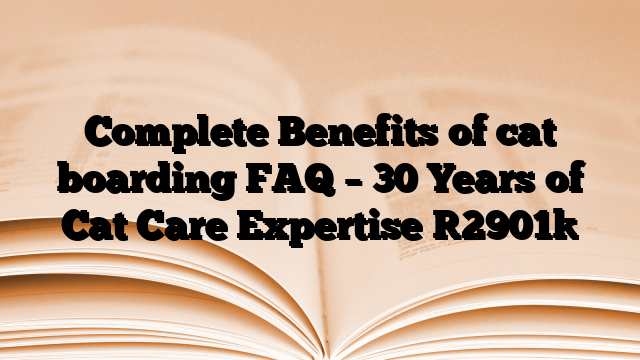 Complete Benefits of cat boarding FAQ – 30 Years of Cat Care Expertise