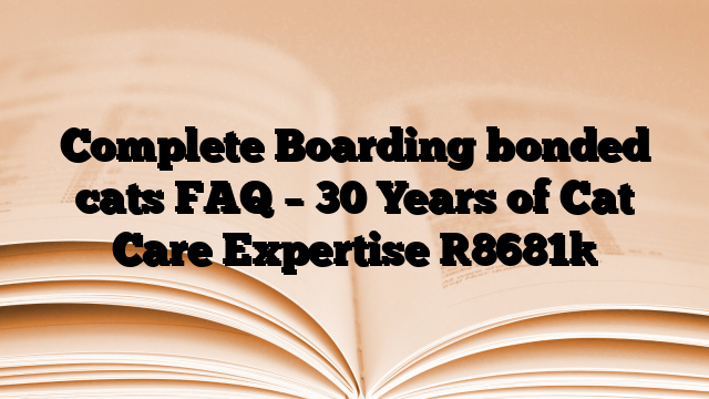 Complete Boarding bonded cats FAQ – 30 Years of Cat Care Expertise