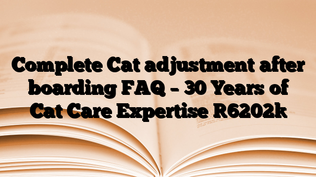 Complete Cat adjustment after boarding FAQ – 30 Years of Cat Care Expertise