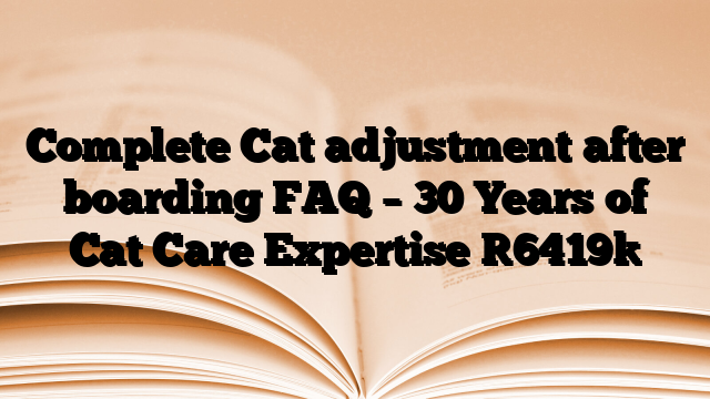 Complete Cat adjustment after boarding FAQ – 30 Years of Cat Care Expertise
