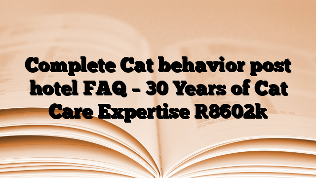 Complete Cat behavior post hotel FAQ – 30 Years of Cat Care Expertise