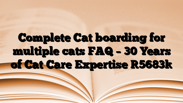 Complete Cat boarding for multiple cats FAQ – 30 Years of Cat Care Expertise