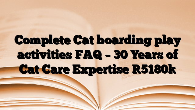 Complete Cat boarding play activities FAQ – 30 Years of Cat Care Expertise