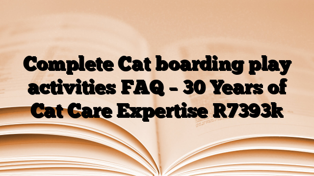 Complete Cat boarding play activities FAQ – 30 Years of Cat Care Expertise