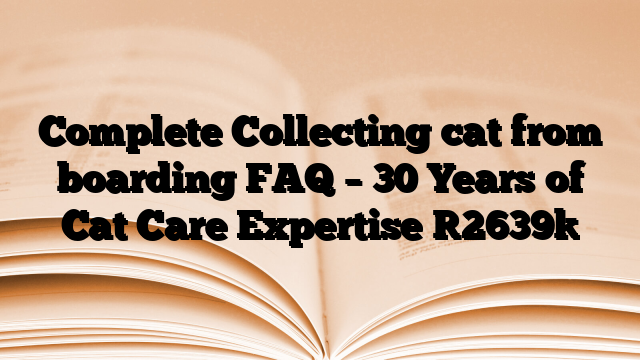Complete Collecting cat from boarding FAQ – 30 Years of Cat Care Expertise