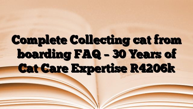 Complete Collecting cat from boarding FAQ – 30 Years of Cat Care Expertise