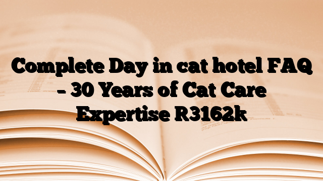 Complete Day in cat hotel FAQ – 30 Years of Cat Care Expertise