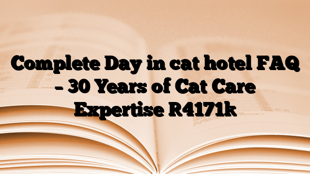 Complete Day in cat hotel FAQ – 30 Years of Cat Care Expertise