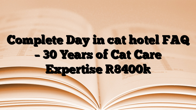 Complete Day in cat hotel FAQ – 30 Years of Cat Care Expertise