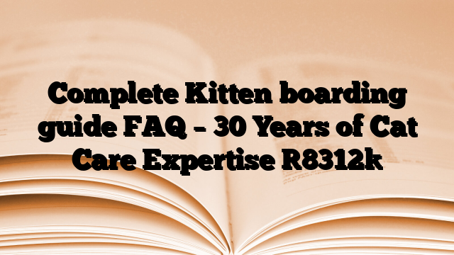Complete Kitten boarding guide FAQ – 30 Years of Cat Care Expertise