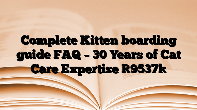 Complete Kitten boarding guide FAQ – 30 Years of Cat Care Expertise