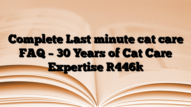 Complete Last minute cat care FAQ – 30 Years of Cat Care Expertise