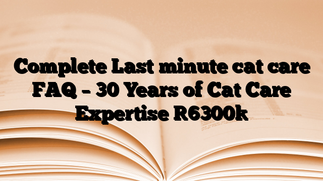 Complete Last minute cat care FAQ – 30 Years of Cat Care Expertise