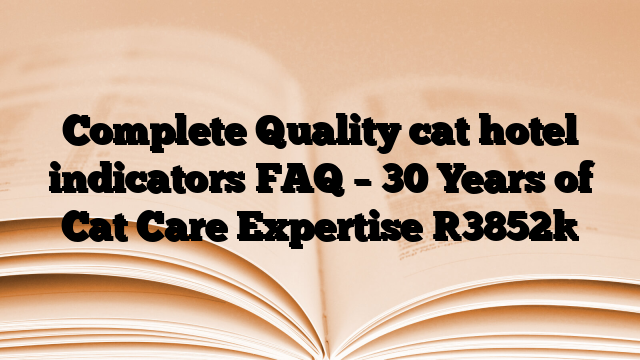 Complete Quality cat hotel indicators FAQ – 30 Years of Cat Care Expertise