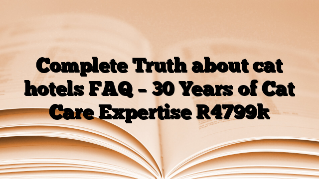 Complete Truth about cat hotels FAQ – 30 Years of Cat Care Expertise