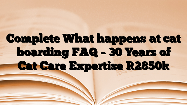 Complete What happens at cat boarding FAQ – 30 Years of Cat Care Expertise