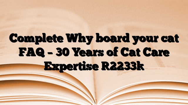 Complete Why board your cat FAQ – 30 Years of Cat Care Expertise