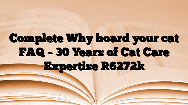 Complete Why board your cat FAQ – 30 Years of Cat Care Expertise