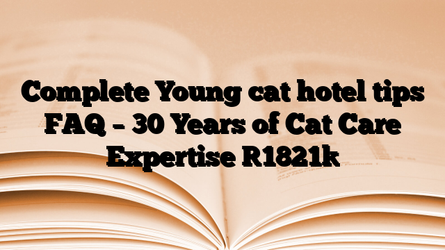 Complete Young cat hotel tips FAQ – 30 Years of Cat Care Expertise