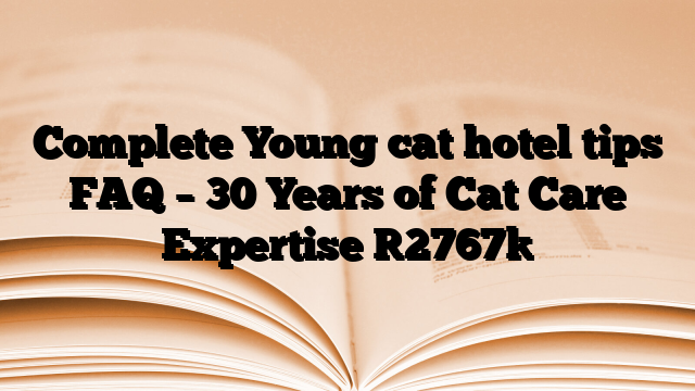 Complete Young cat hotel tips FAQ – 30 Years of Cat Care Expertise