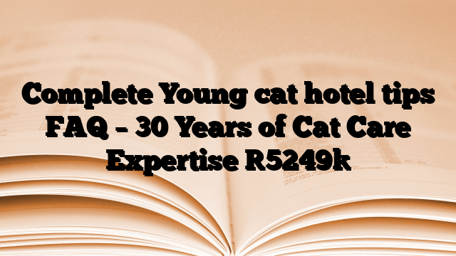 Complete Young cat hotel tips FAQ – 30 Years of Cat Care Expertise